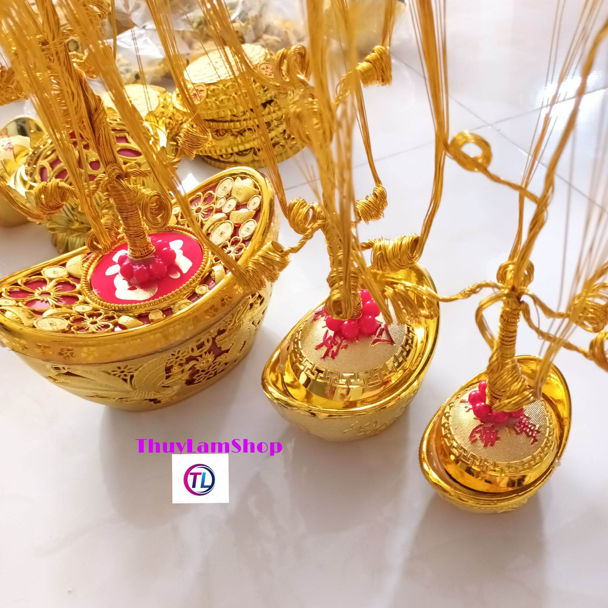 Gốc cây thỏi vàng long phụng size đại, gốc size trung, vừa làm cây cành vàng lá ngọc