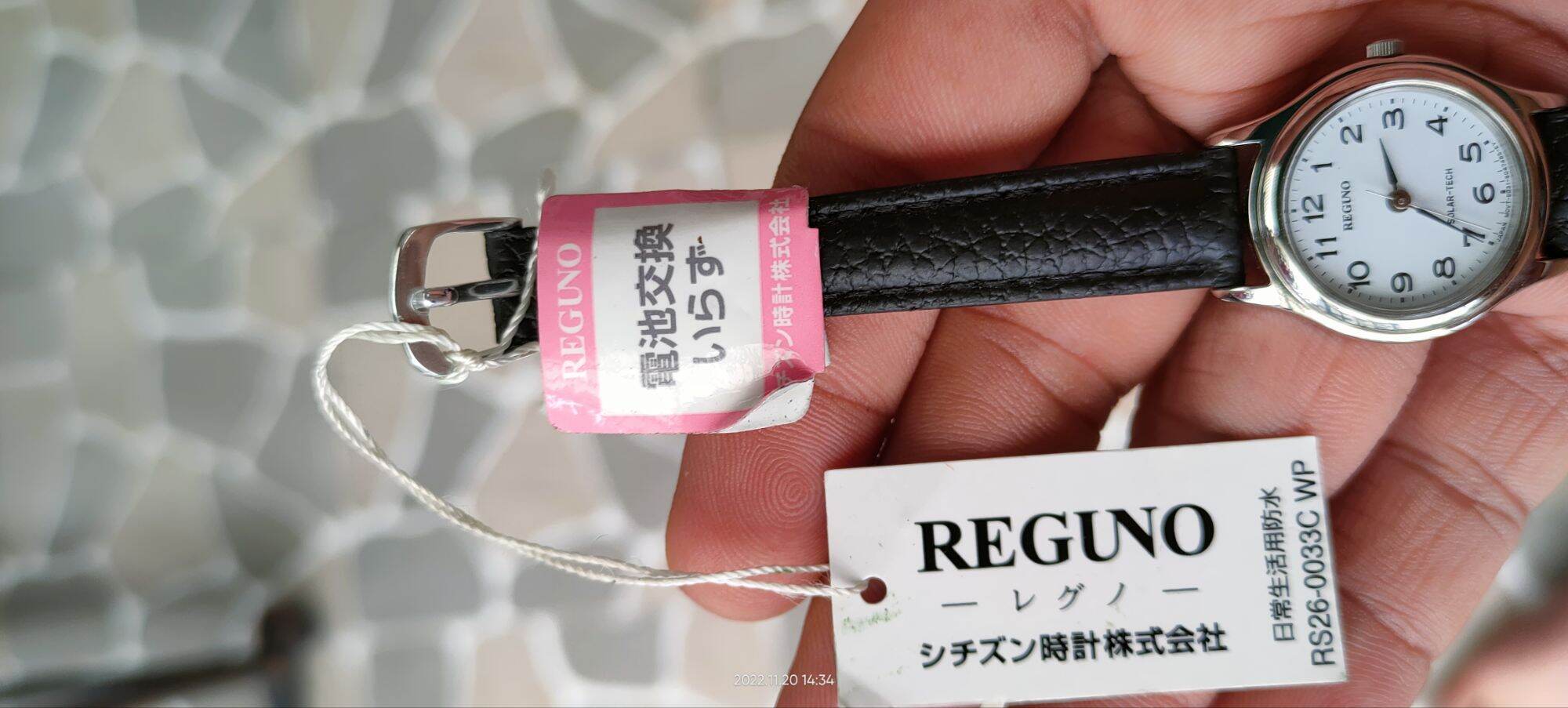 Reguno Pin năng lượng Mặt Trời