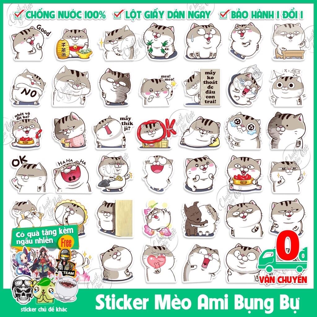 Chia sẻ 75 mèo ami bụng bự hình nền siêu hot  POPPY