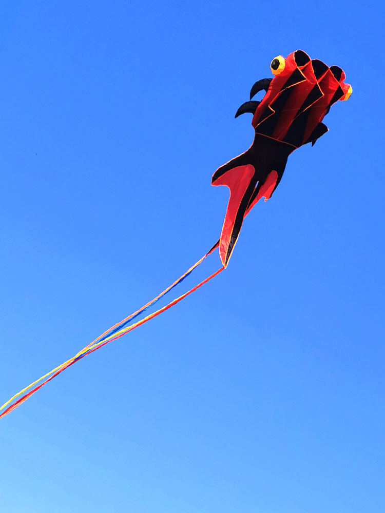 Tong Fei Diều Bay Cá Vàng Lớn 3d Mềm Cơ Thể Không Xương Dễ Bay Thêm Cực Lớn Cao Cấp Người Lớn Chỉ Diều Phổ Biến