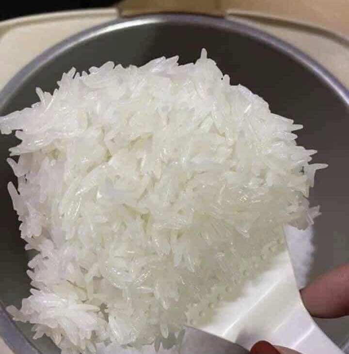 GẠO ST25 LÚA TÔM AAN [ Chính hãng ] - Túi 5kg