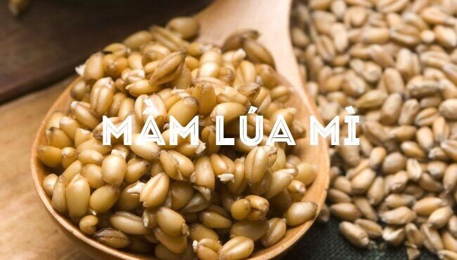 Hạt giống cỏ lúa mì 1kg