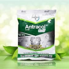 Antracol 100gram thuốc trừ bệnh