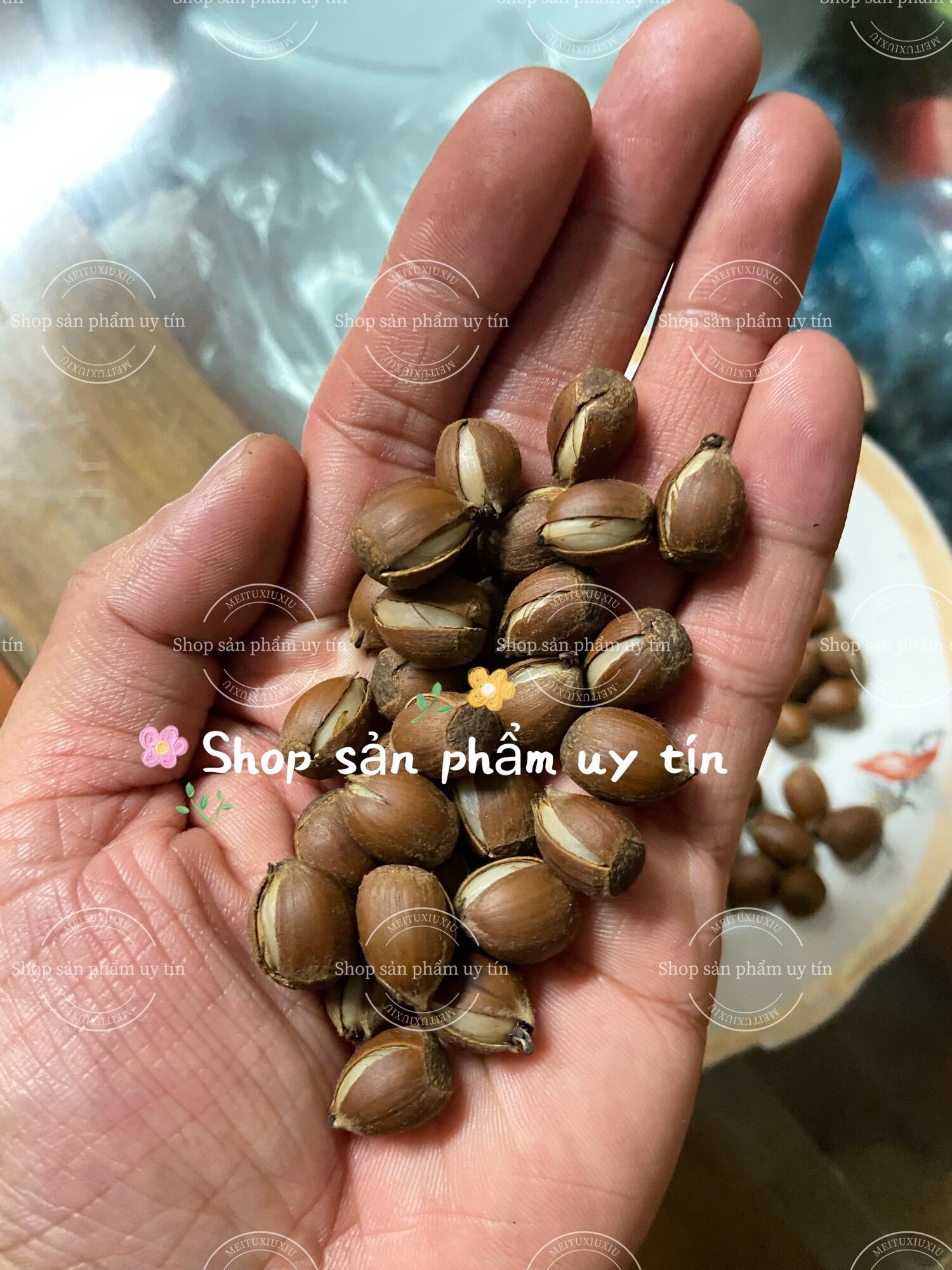 Hạt dẻ rừng 1Kg hạt vừa và nhỏ