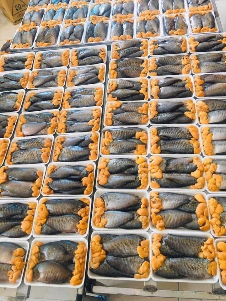 (hỏa tốc tphcm) 0,5kg Cá Sặc trứng 1 nắng