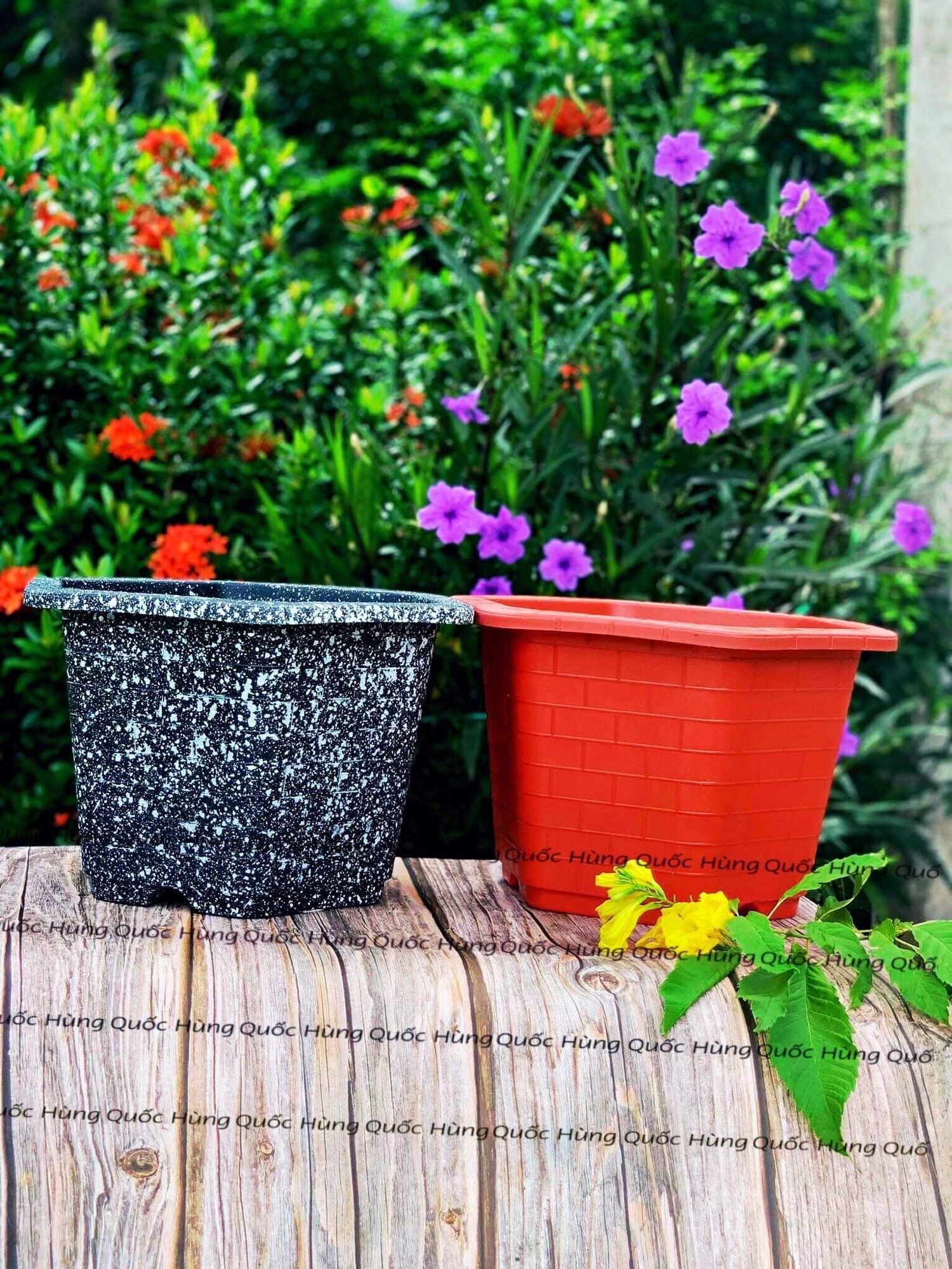 Chậu nhựa Lục Giác FAB đủ size
