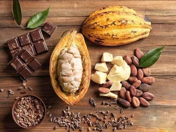 1kg Bột cacao Đăk Lăk nguyên chất 100%