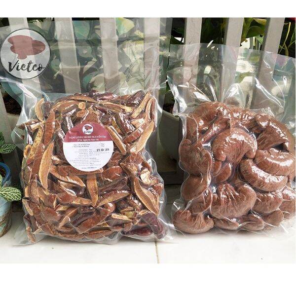 100g nấm linh chi đỏ thái lát