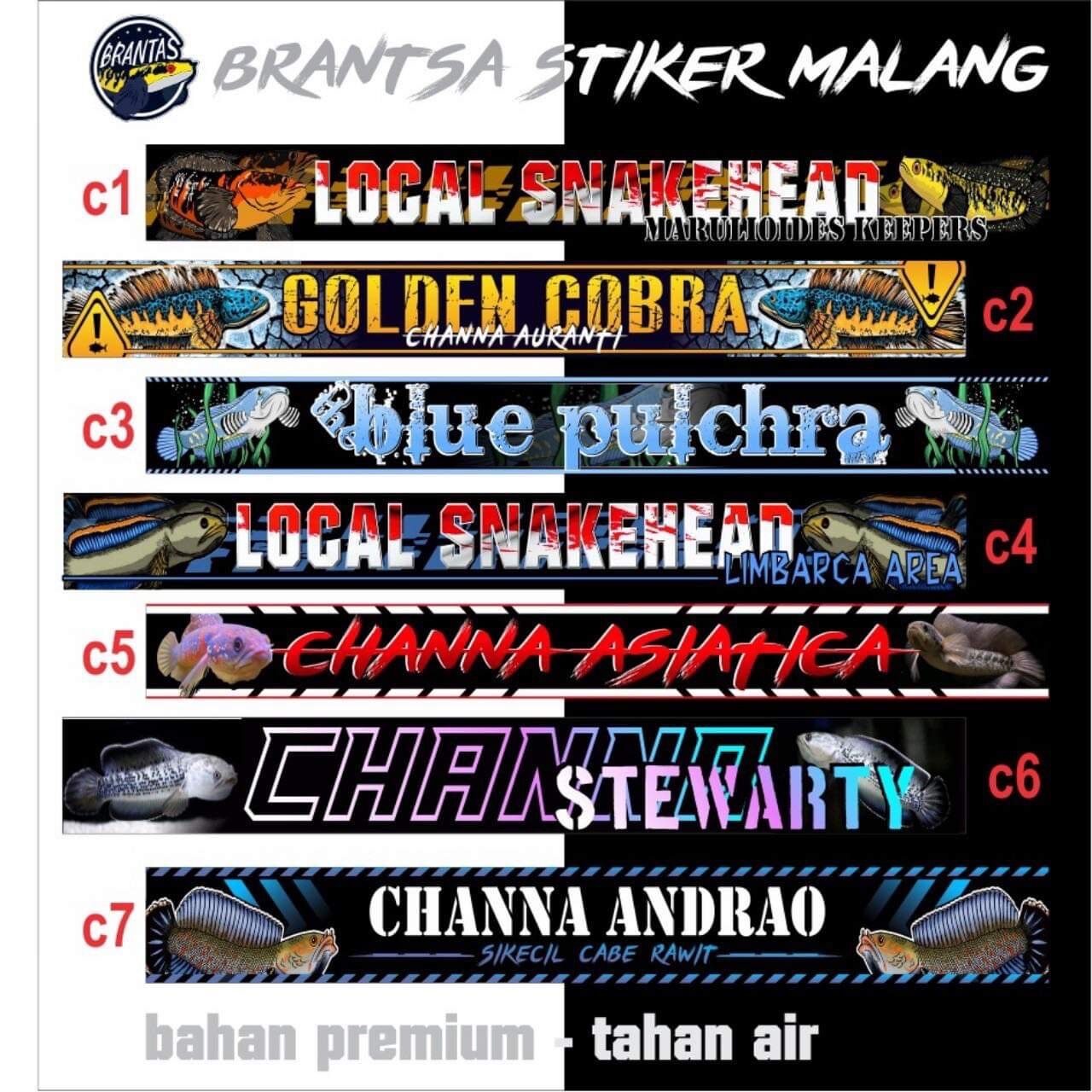 Decal dán hồ cá 60*10
