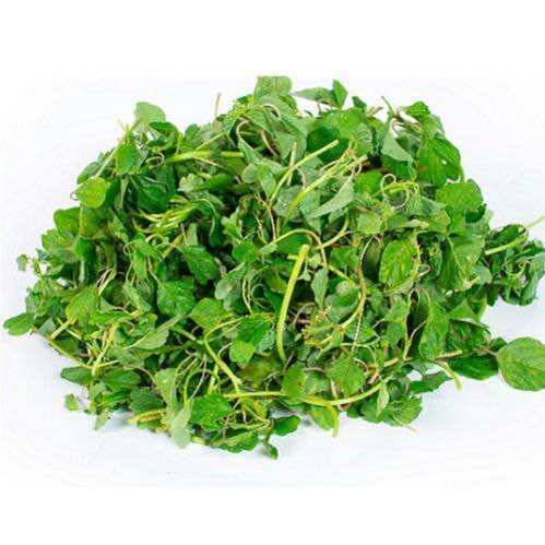 Hạt giống rau Cơm- dền dền tía - dền gai - Dền Ta - Dền Đất