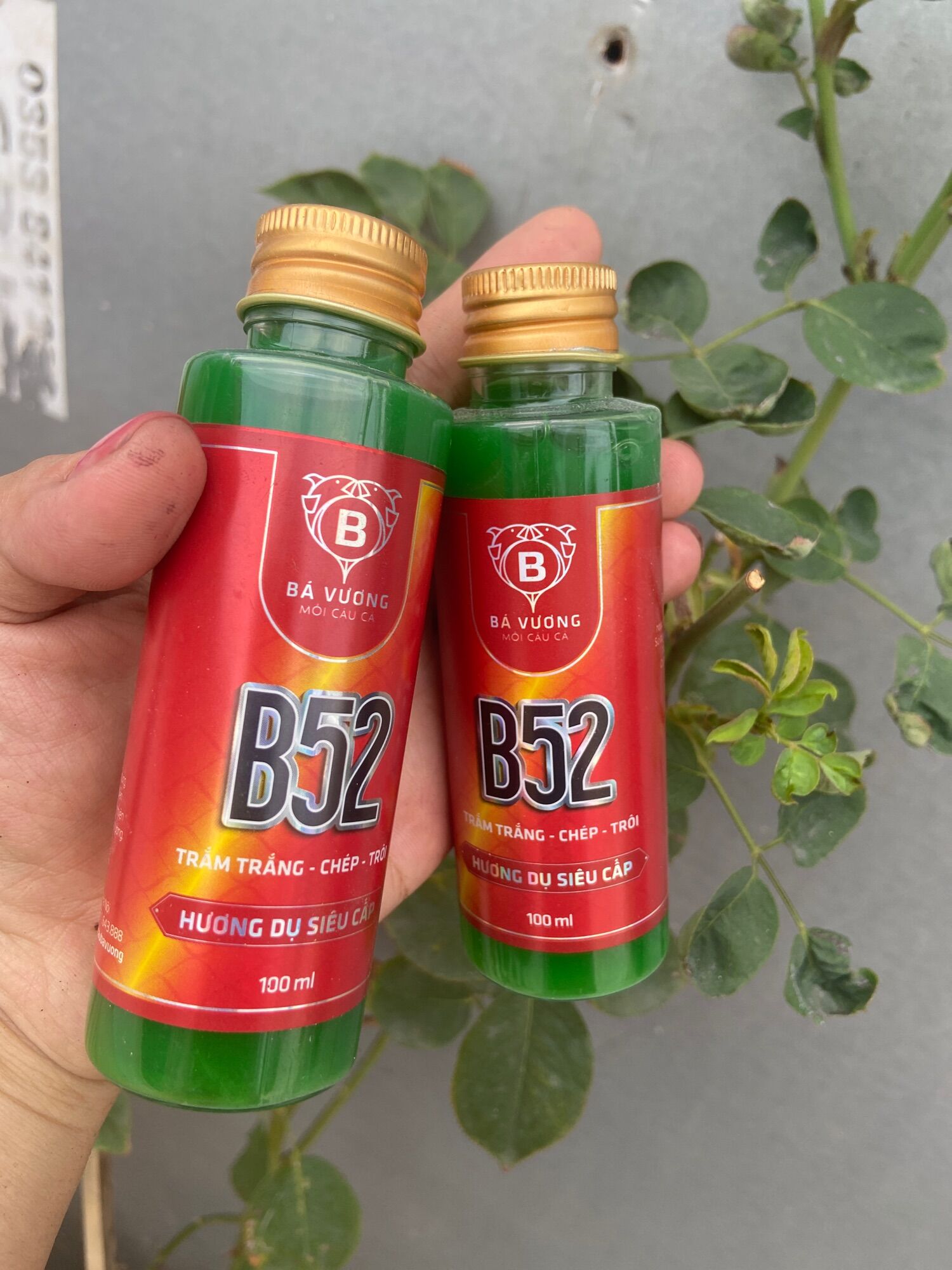 Hương dụ cá siêu cấp b52 bá vương - chuyên trắm trắng, chép, trôi