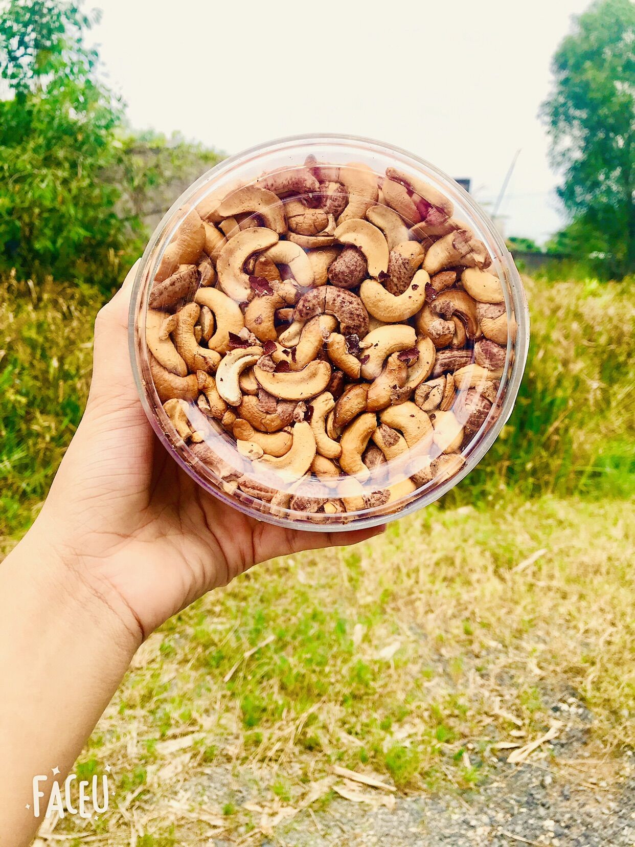 Hộp 500 gram hạt điều rang muối bể đôi có vỏ lụa chuẩn bình phước