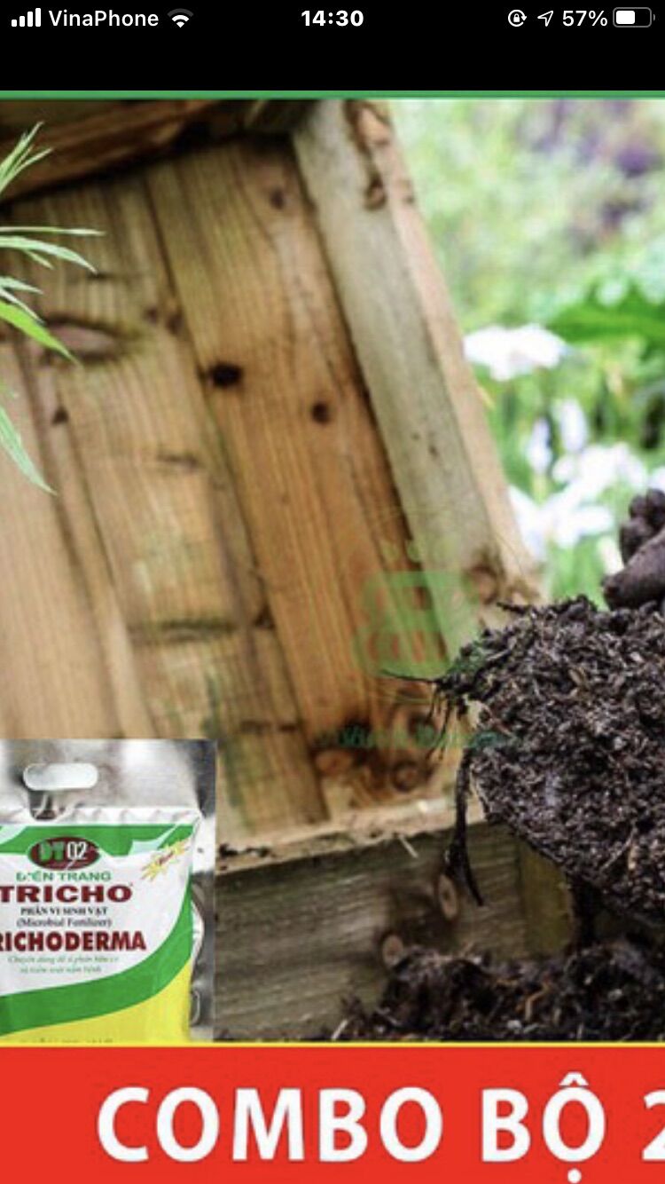 Nấm đối kháng Trichoderma Điền trang 1kg