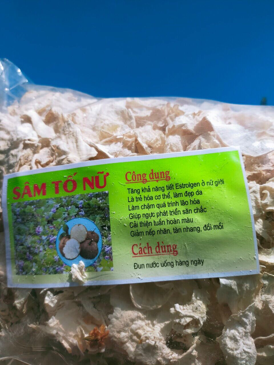Sâm tố nữ thái lát phơi khô