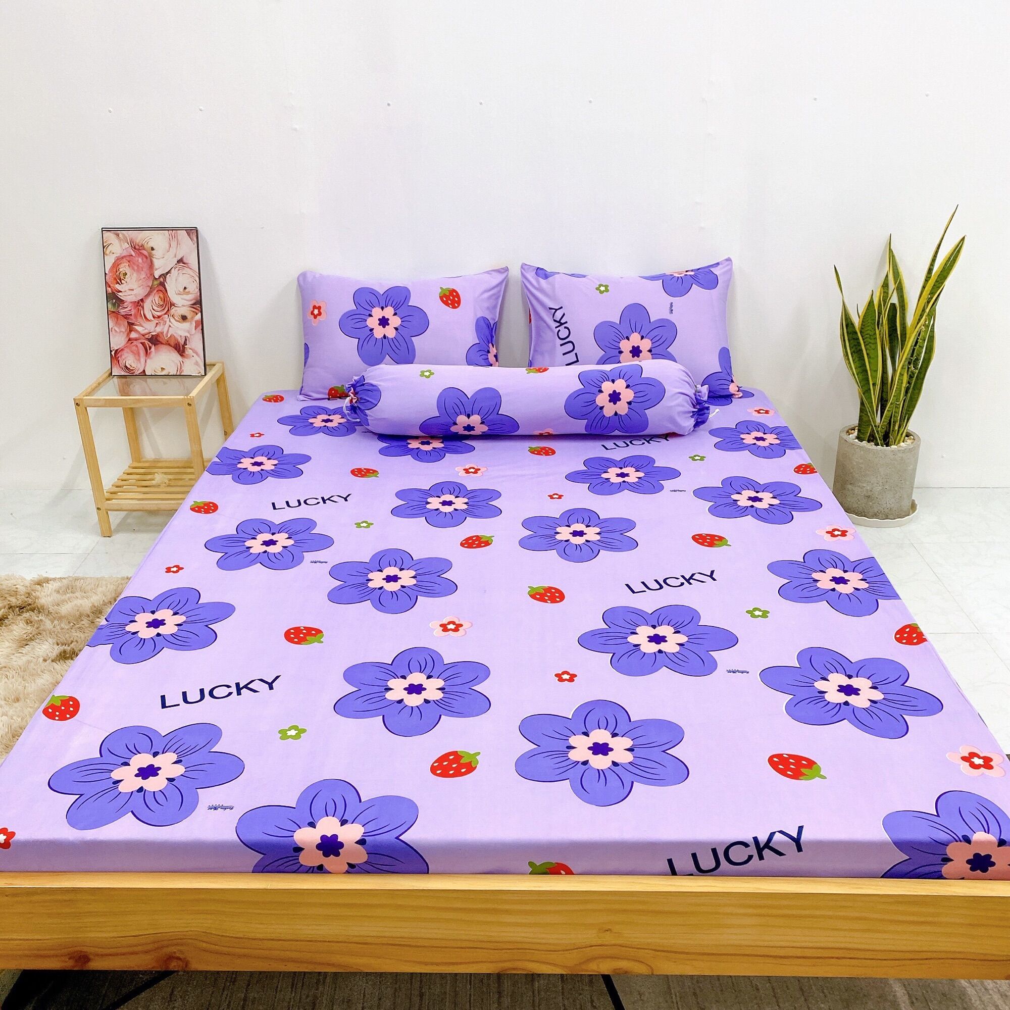 Set 4 món DRAP ÁO GỐI THUN LẠNH HÀN QUỐC