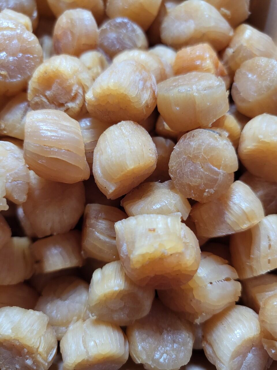 Sò điệp Nhật khô size mini 200gr