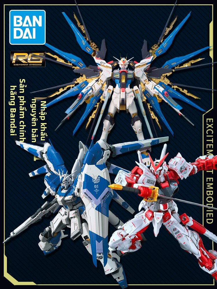 Bandai | Bộ Đồ Chơi Mô Hình Multi-Series RG Gundam