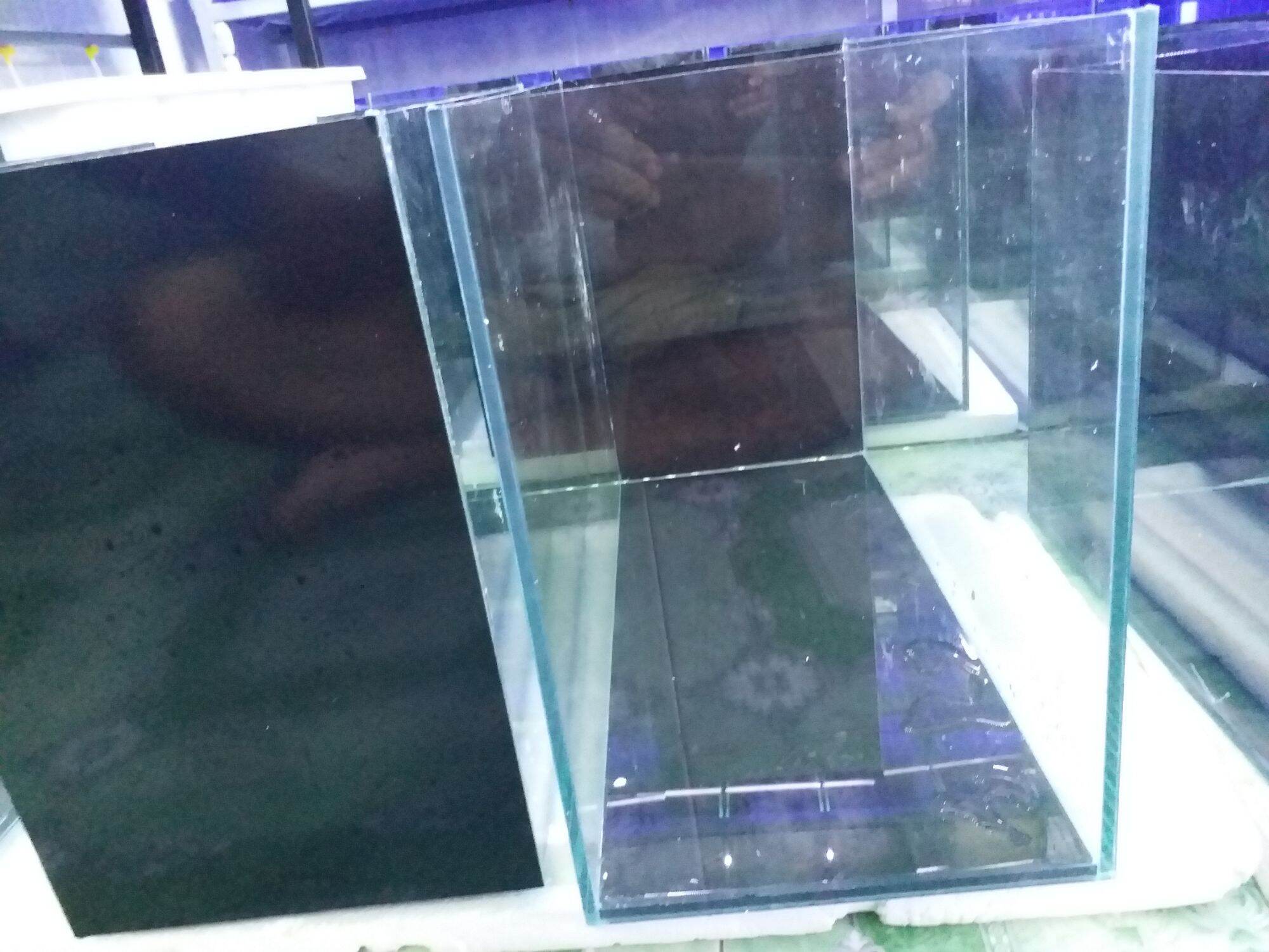 Hồ Cá Guppy 30.45.20