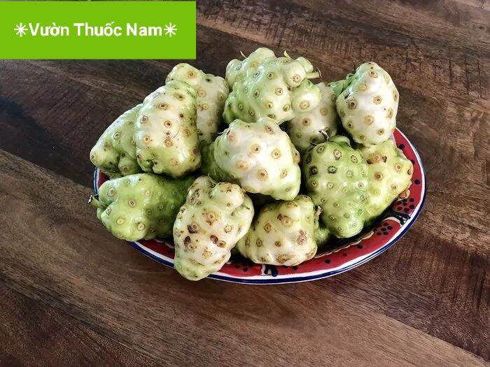 Quả nhàu tươi 1kg trái tươi ( chỉ ship Miền Nam )  hái tại nhà tốt cho sức khoẻ