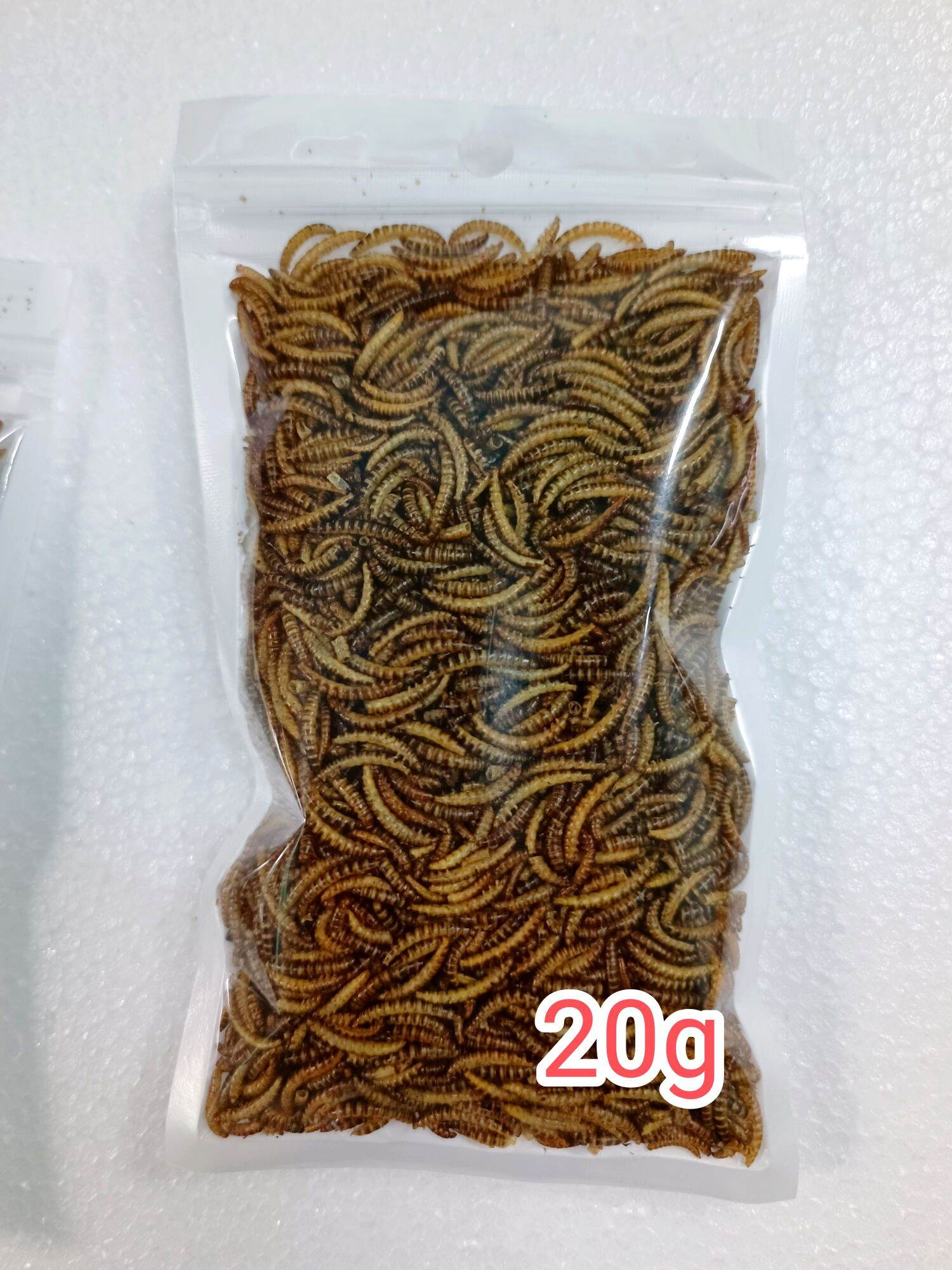 Sâu Gạo Sấy Khô Cho Hamster Cá Chim Cảnh