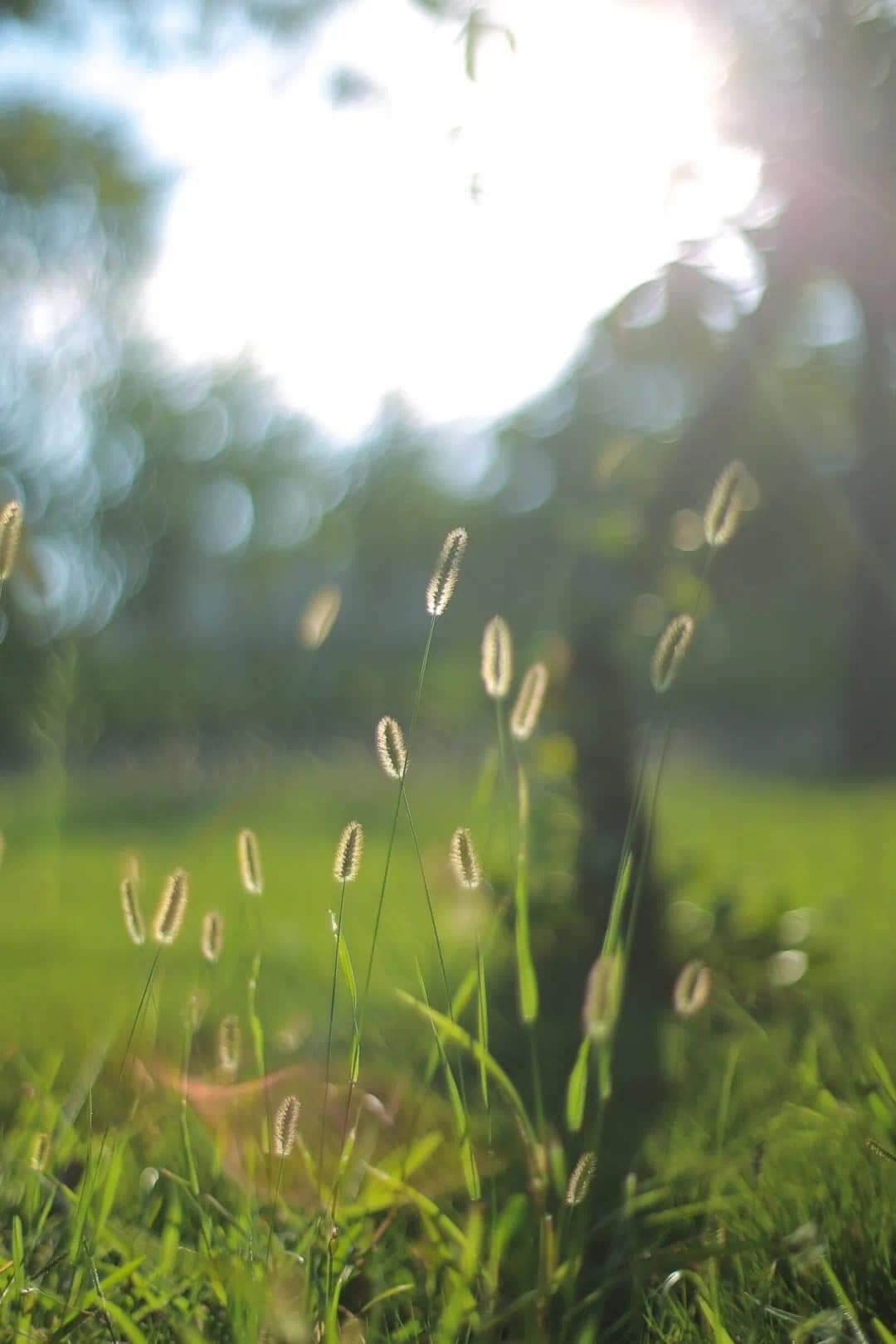 Tổng Kho VTNN Bắc Từ Liêm