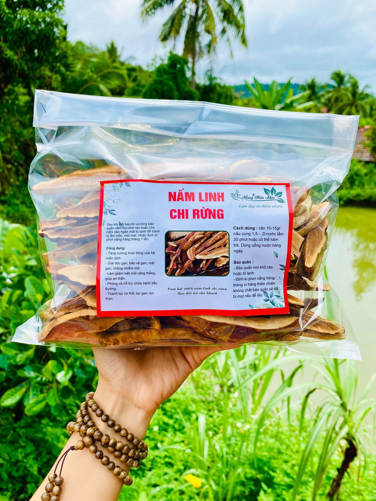 Nấm linh chi rừng thái lát