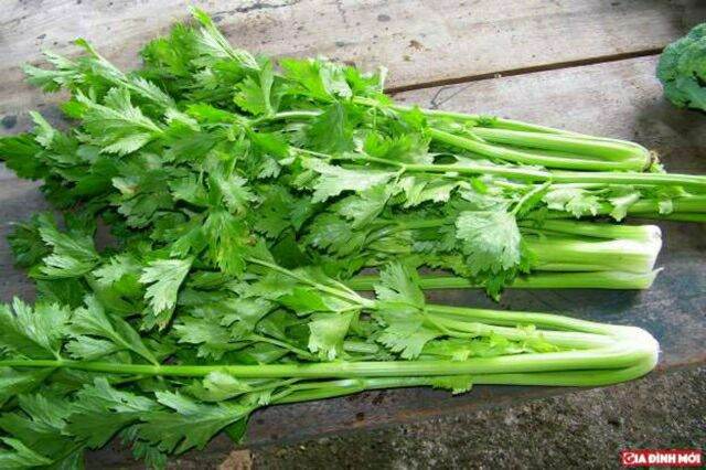 Hạt giống rau cần tàu - gói 10gr