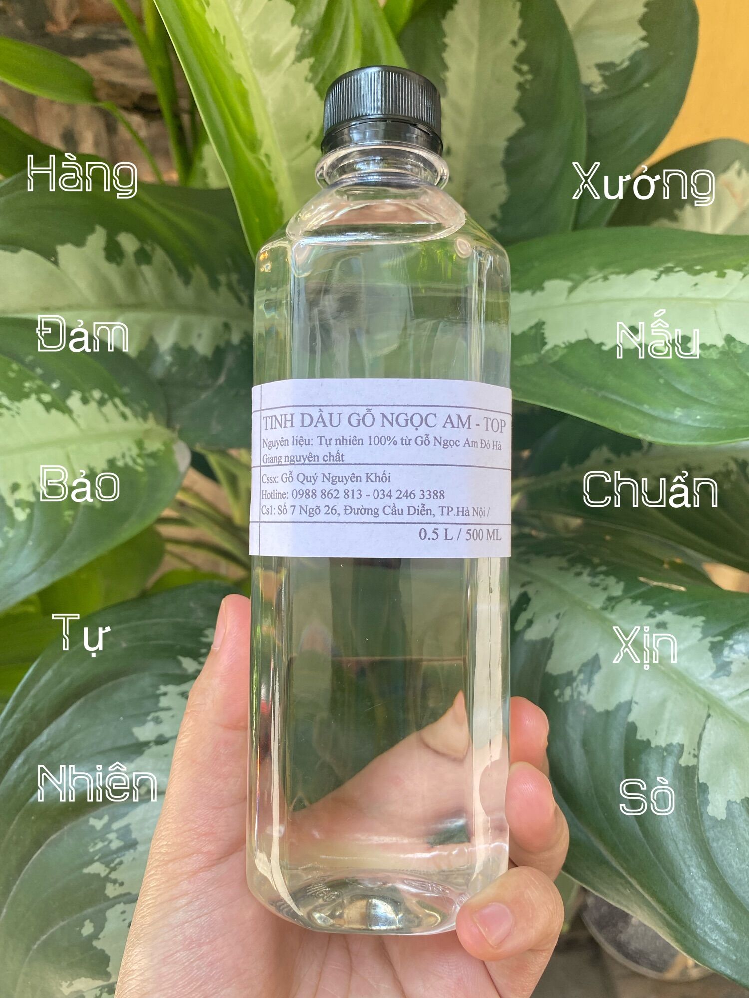 Tinh Dầu Ngọc Am Đỏ Hà Giang Nguyên chất 500ml - Chuẩn Xịn - thơm phòng khử mùi chiêu tài dẫn lộc