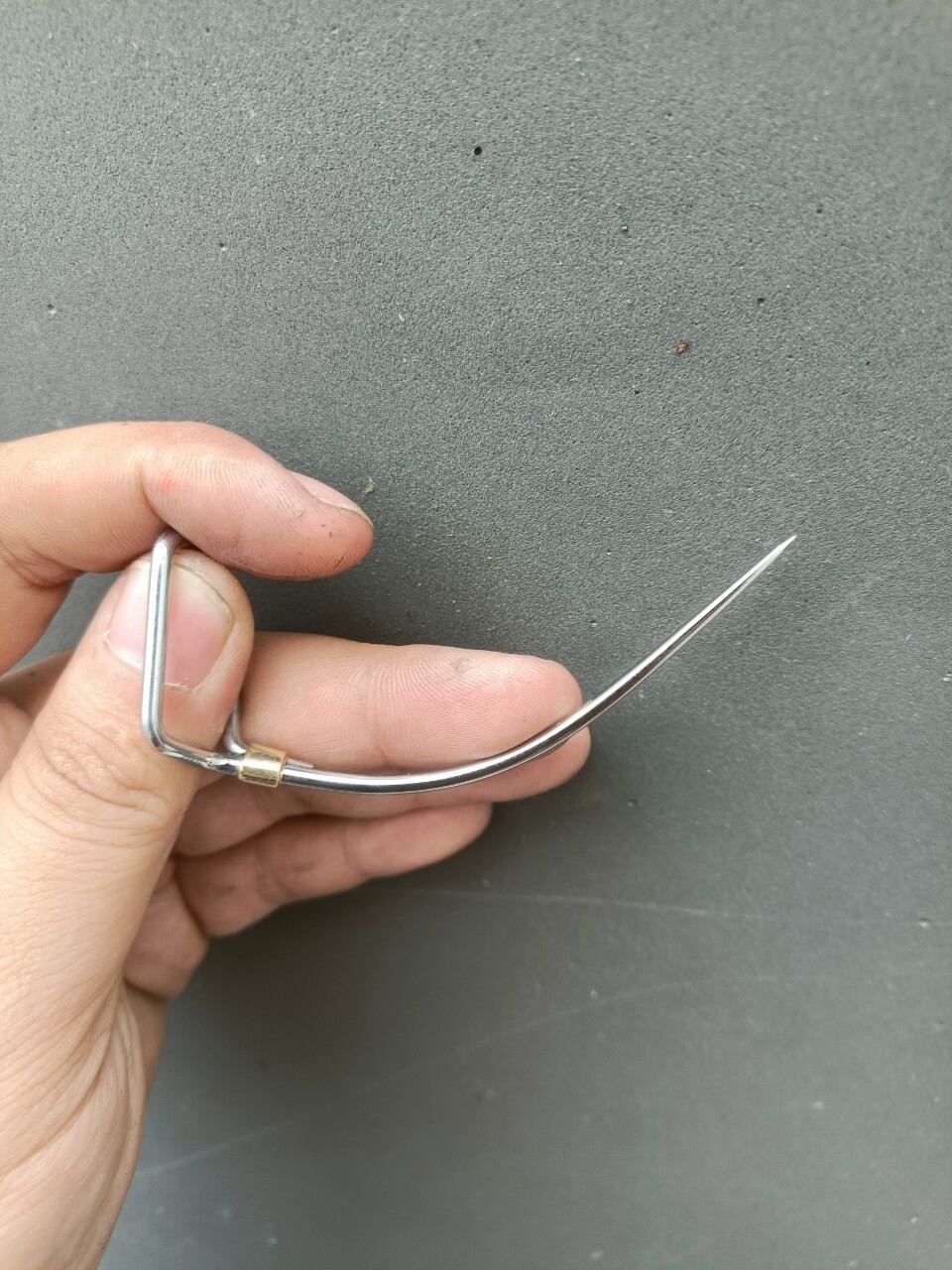 Cựa Gà Nòi Việt Lai 50 - Đủ Size