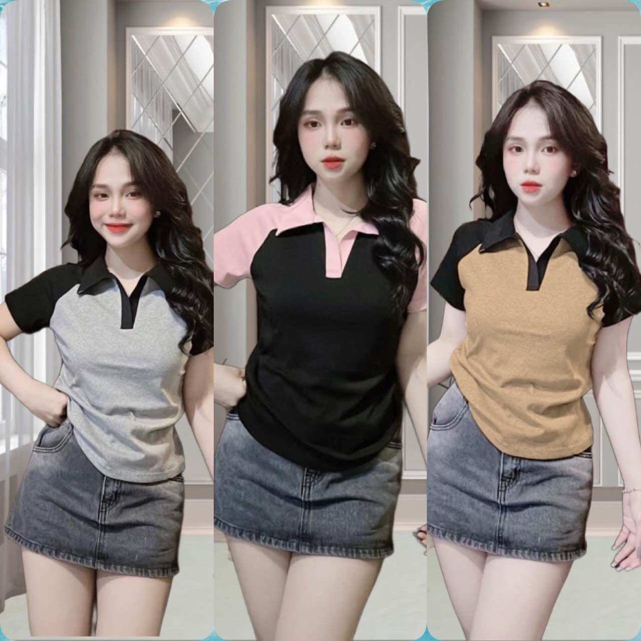 Áo polo cổ bẻ phối màu cá tính bigsize nữ