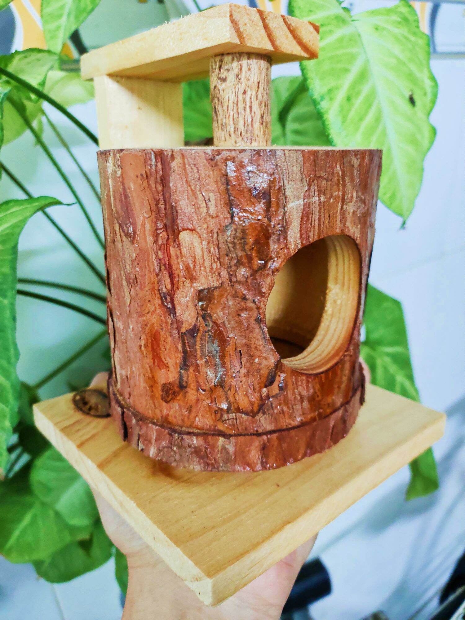 Nhà ngũ Hamster, sóc hình tổ chim bằng gỗ thông