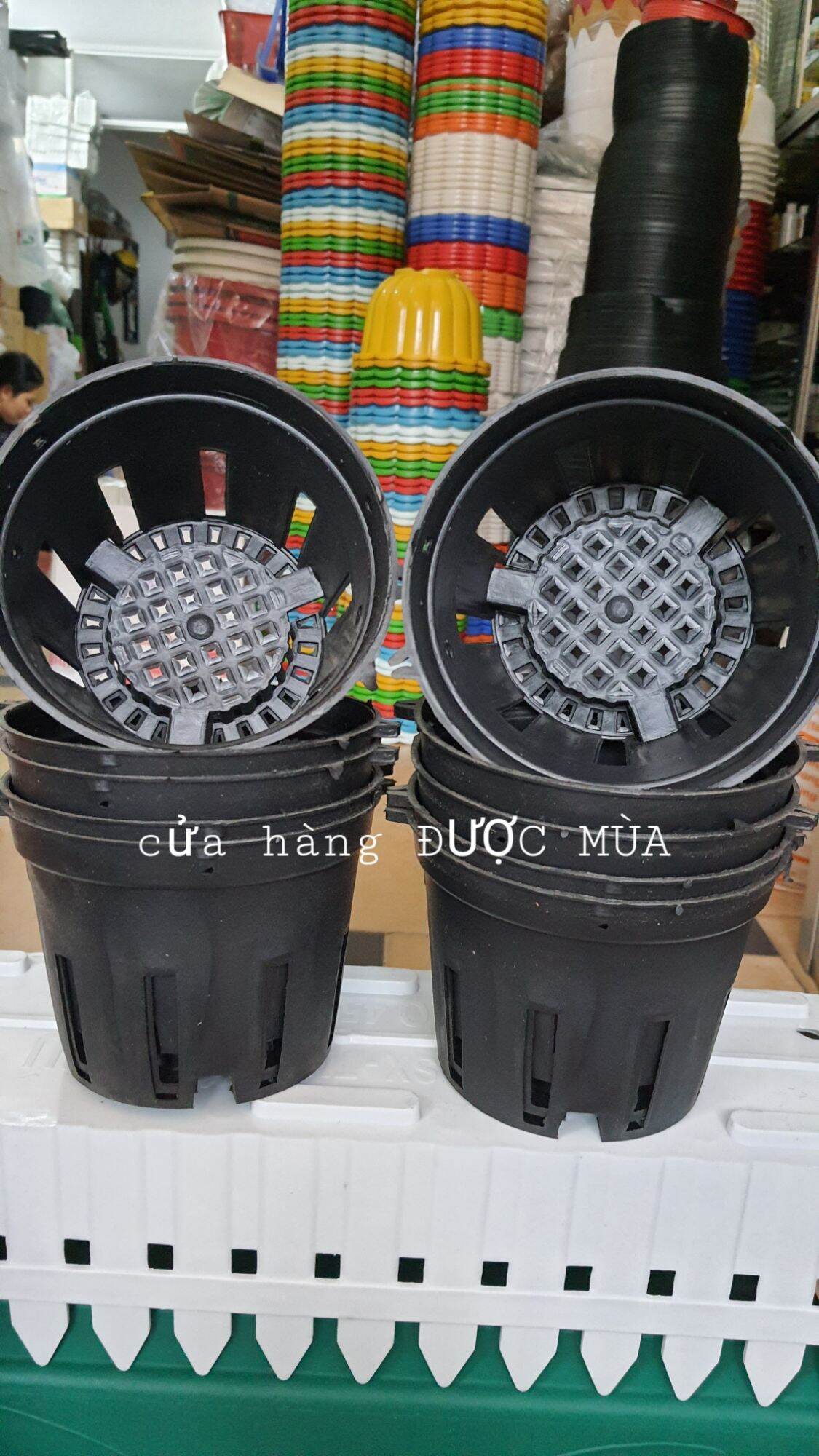 10 chậu nhựa trồng lan phi 14