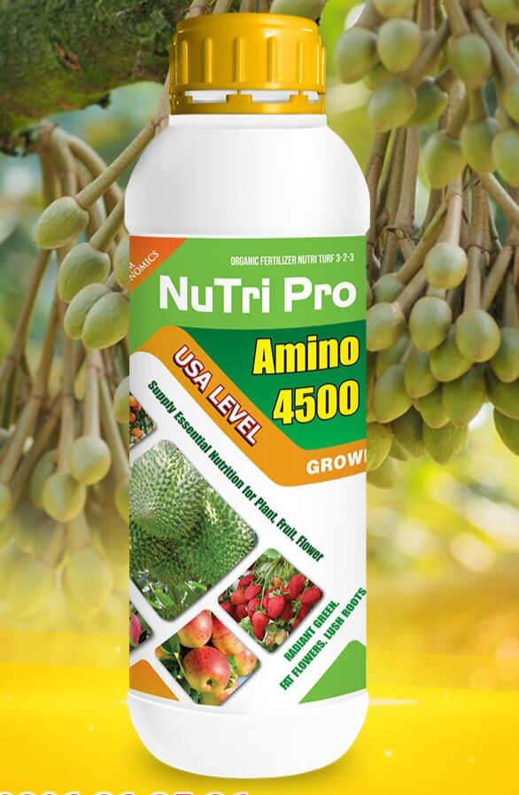 Phân bón lá Amino NuTri Pro 4500 Tăng lực cây trồng trong giai đoan: Ra bông, xả nhụy, đậu trái và gặp phải điêu kiện thời tiết bất lợi như nắng nóng, mưa nhiều.