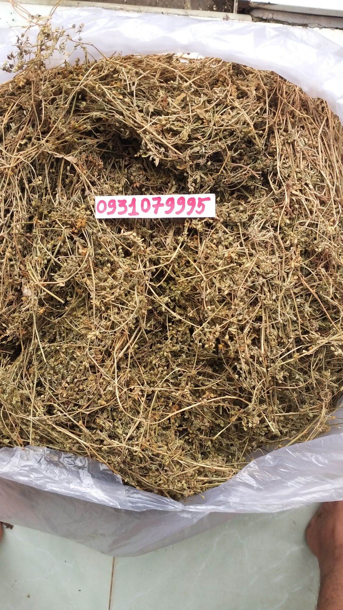 Rau đắng đất phơi khô 1kg