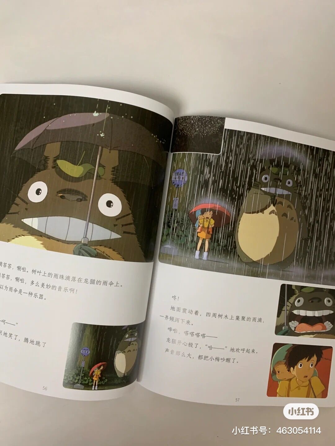 Hàng xóm của tôi là Totoro