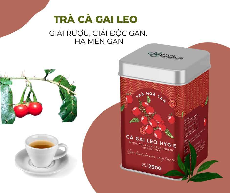 Trà Cà Gai Leo, Trà giải rượu, giải độc gan, hạ men gan