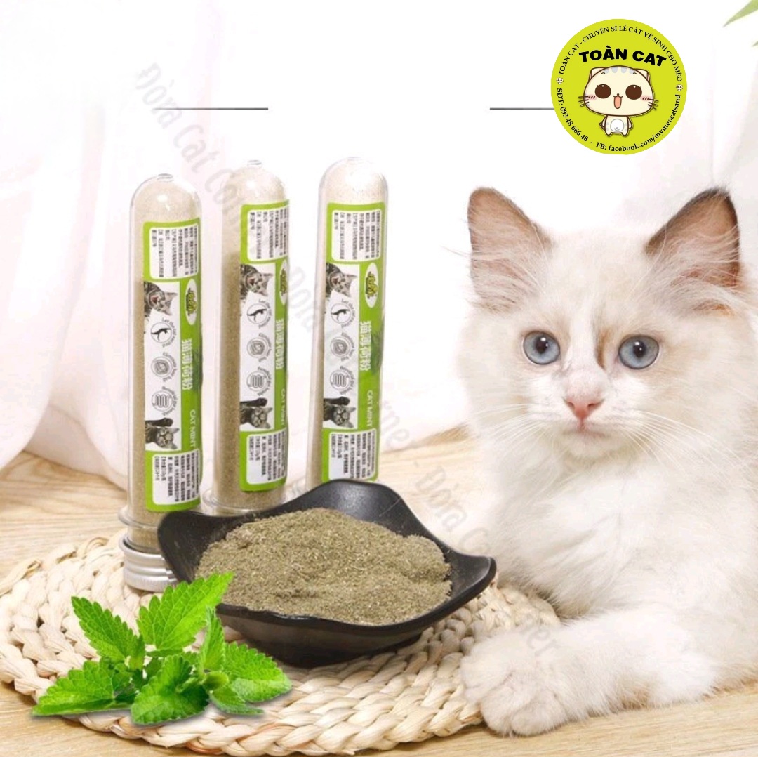 Ống cỏ bạc hà Cat Mint cho mèo