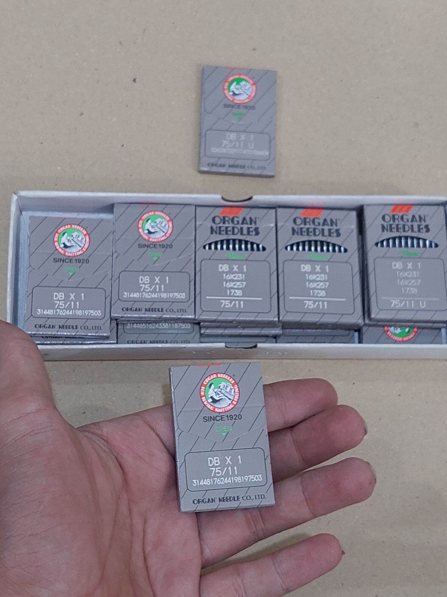 Kim nhật 1 kim số 11