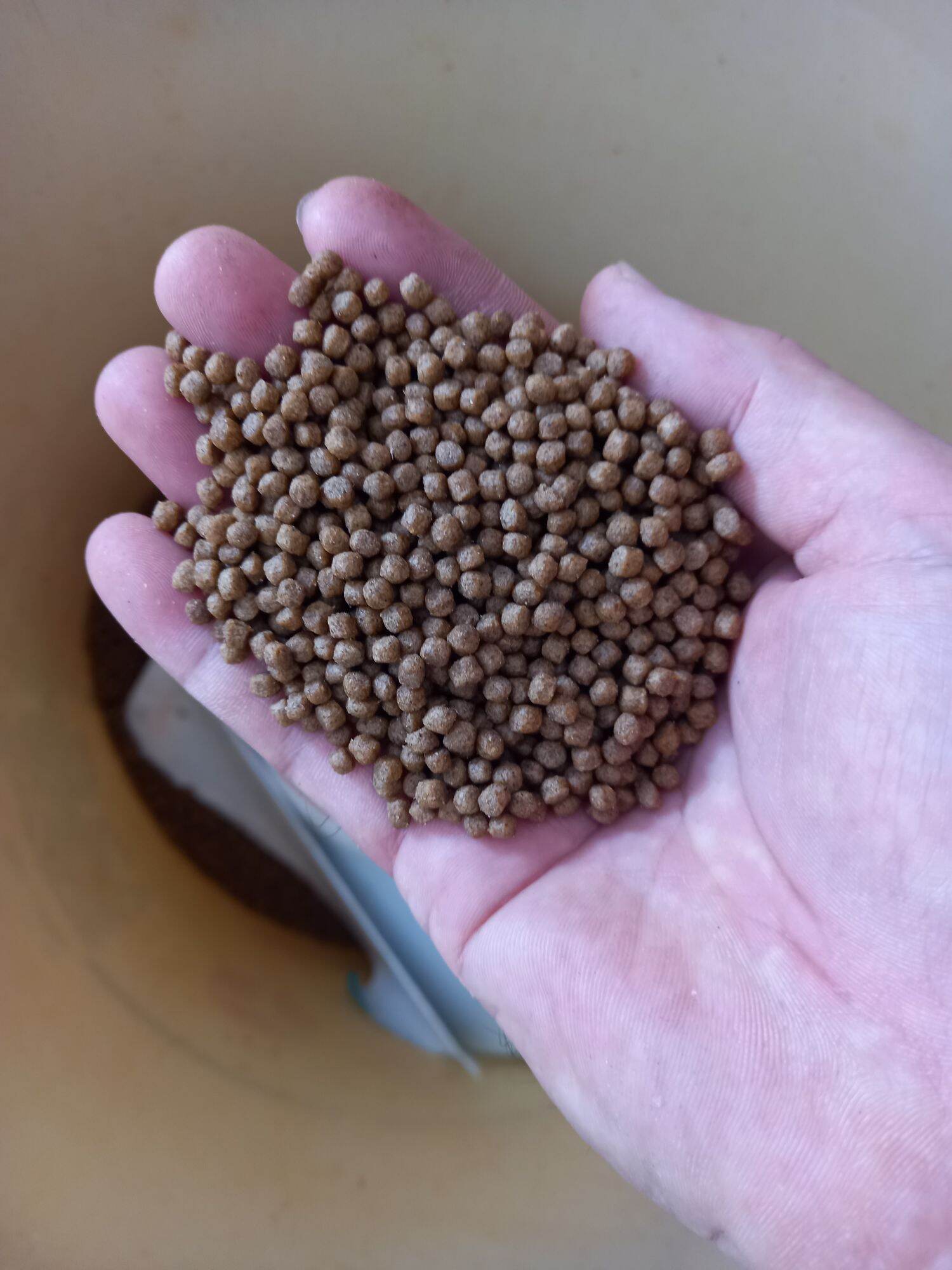 THỨC ĂN CÁ KOI, CÁ 3 ĐUÔI, CÁ CẢNH CÁC LOẠI (3ly 30% đạm) 500gam/ bịt