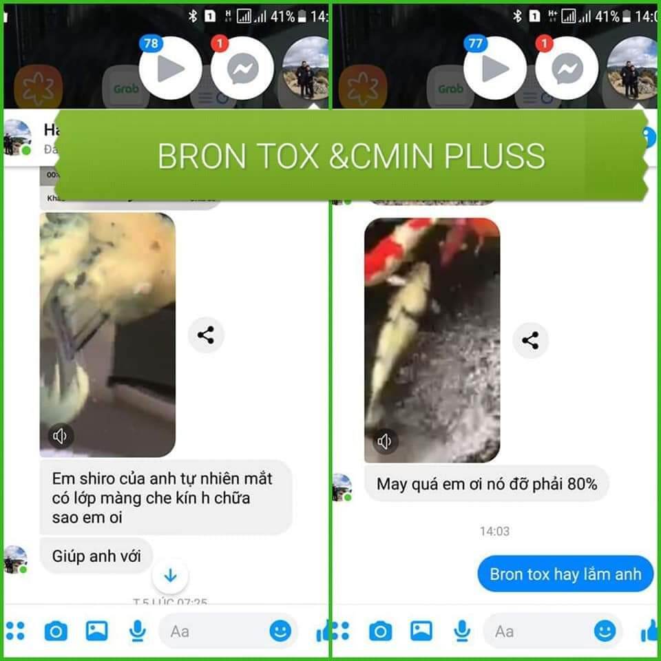 [HCM]Cám Care Food Tảo
