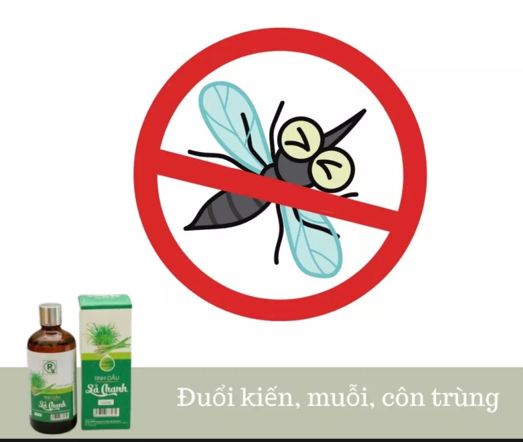 Tinh dầu Sả Chanh 100ml