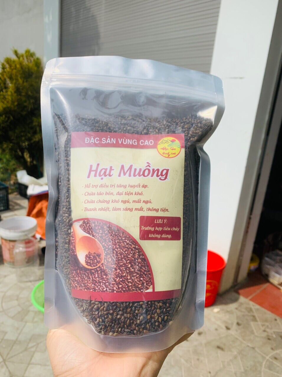 Hạt muồng núi