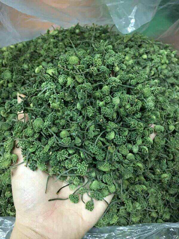 300g nụ tam thất bao tử