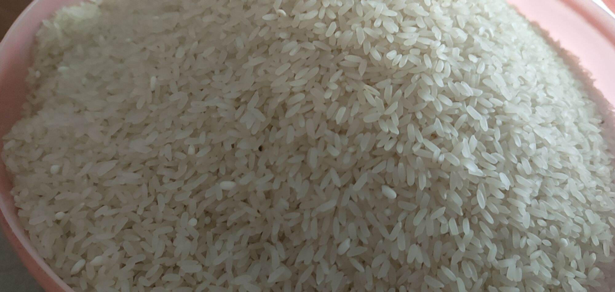 Gạo tám thơm Hải Hậu