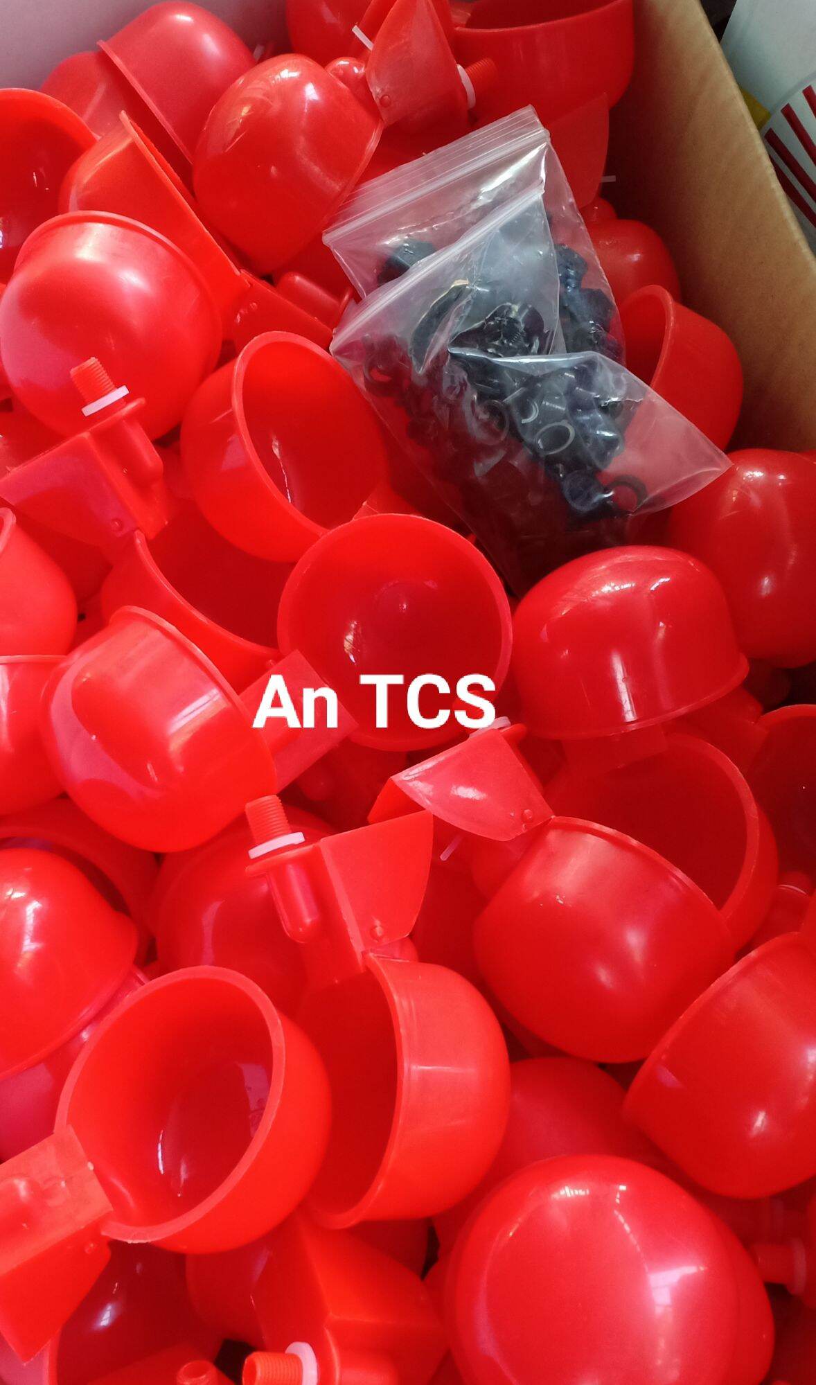 combo 5 cốc nước tự động cho gà vịt ( An TCS )