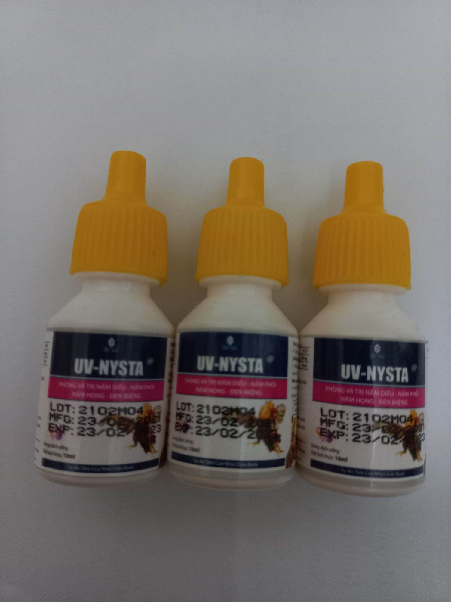 UV Nysta 10ml tri nấm diều, nấm phổi, nấm họng, đẹn miệng