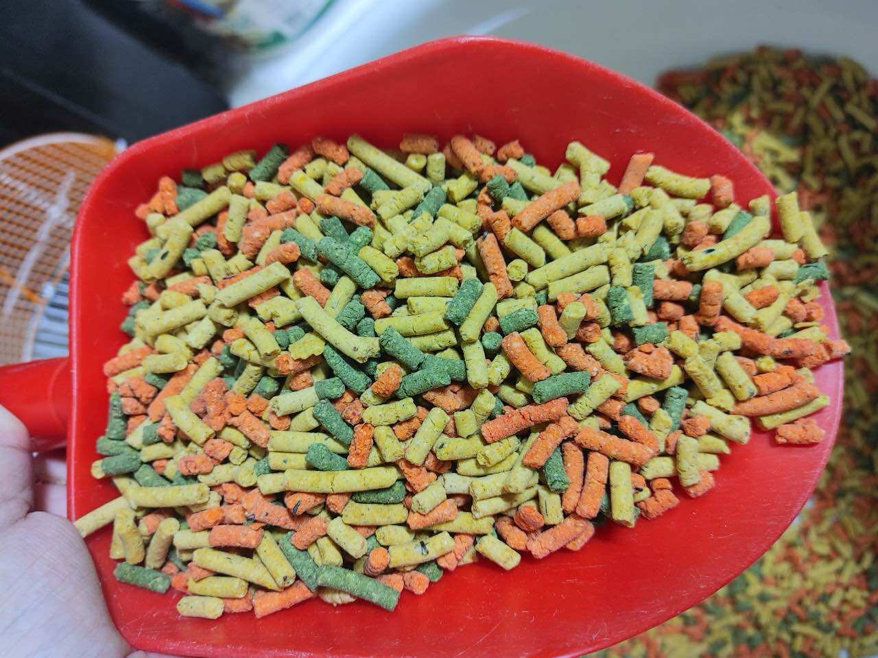 [HCM]500g Thức ăn nén dinh dưỡng chim vẹt .