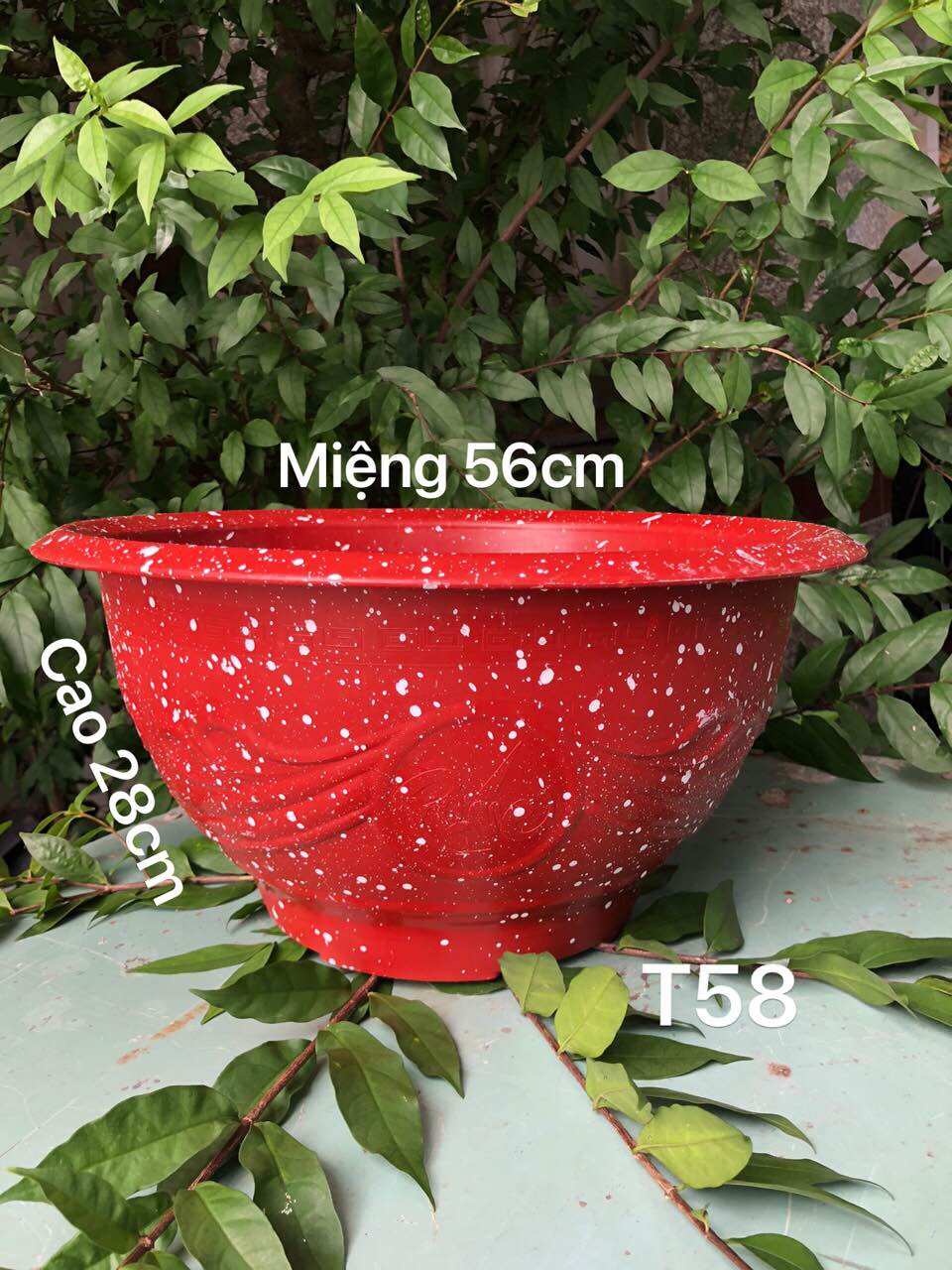 Chậu nhựa trồng cây t58 vân đá đỏ
