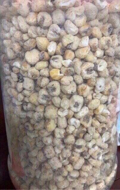 1kg ngô đường gừng