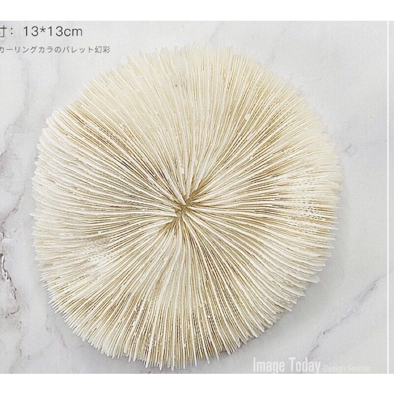 Phụ kiện chụp mẫu nails